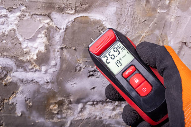 Best Post-Remediation Services in Lake St Louis, MO